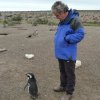 Weggu mit Pinguin