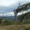 Patagonische Winde