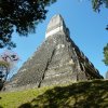 Jaguar Tempel Rückseite Tikal