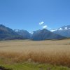 Getreidefeld in den Anden