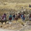 Feldarbeit im Altiplano