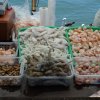 Fischmarkt in Punte del Este